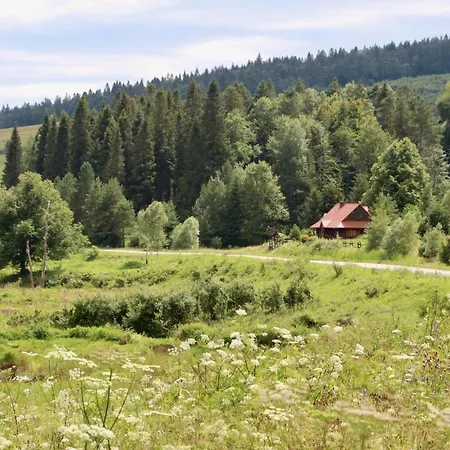 Krzywa 19