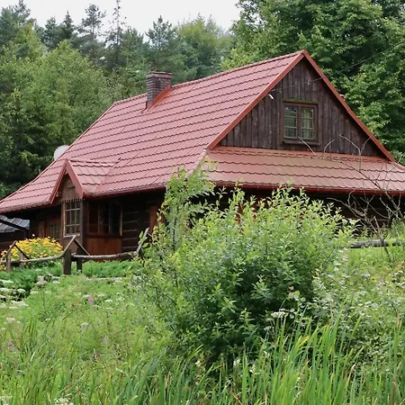 Krzywa 19 *