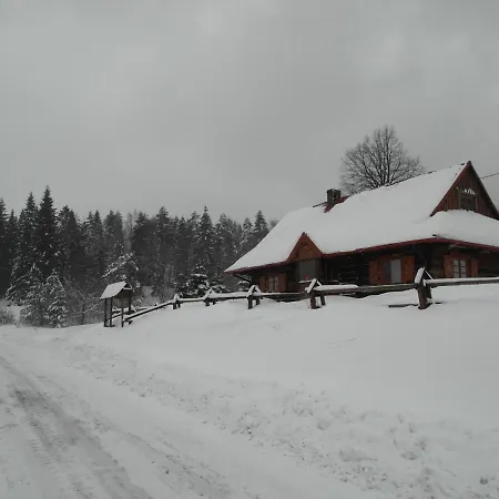 Krzywa 19 *