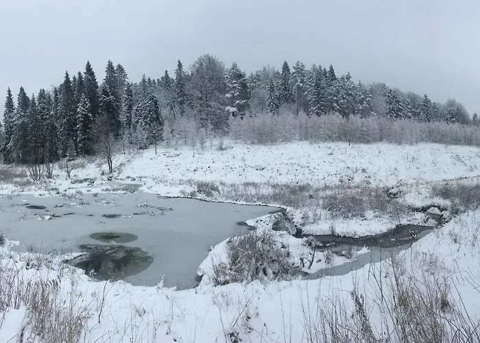 Gospodarstwo agroturystyczne Krzywa 19 *