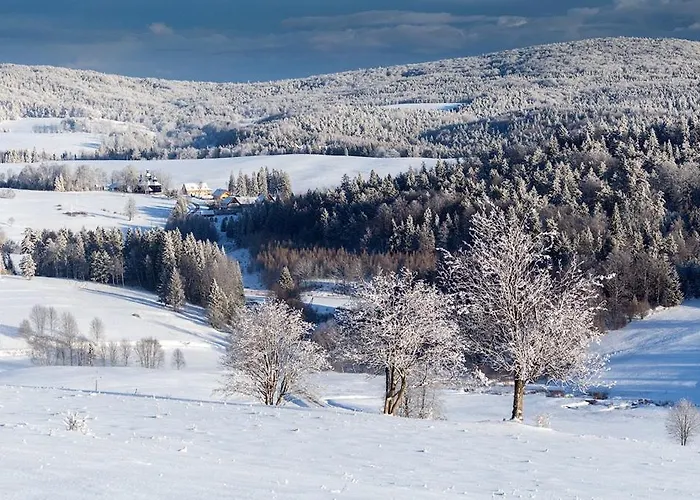 Krzywa 19 Gospodarstwo agroturystyczne *